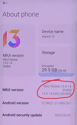 xiaomi developer options